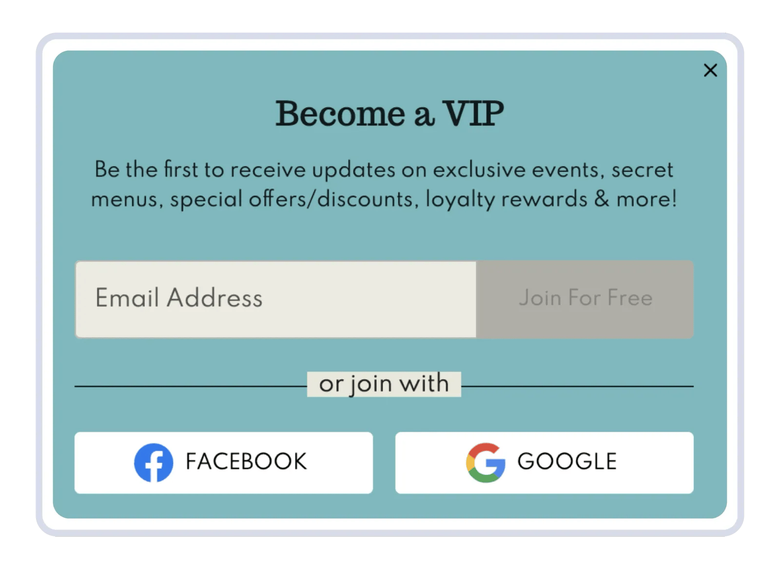 A “Become a VIP” sign-up popup capturing an email address, with options to join with Facebook or Google