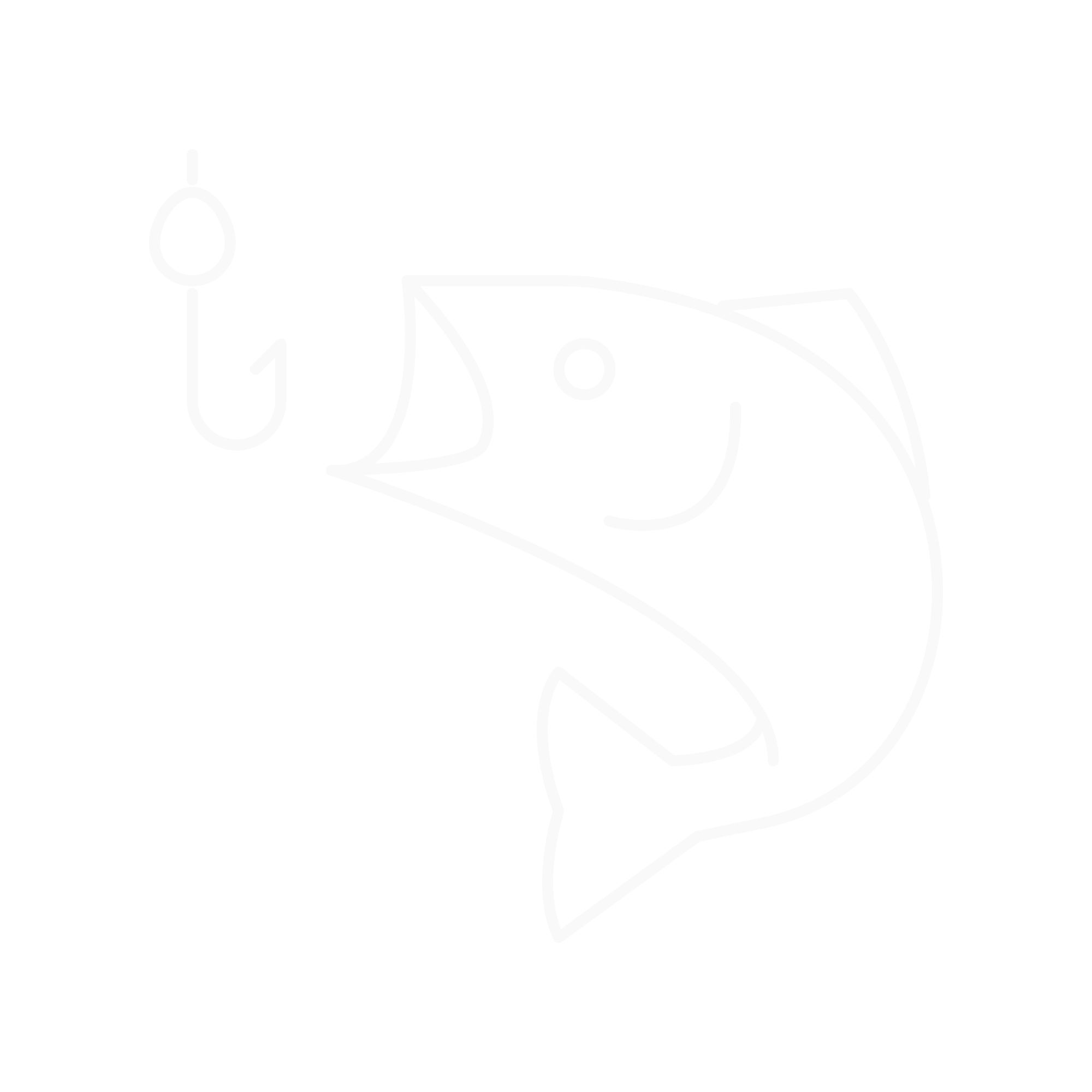 Capture icon
