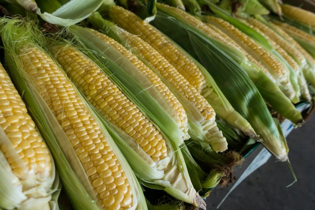 Elote Callejero